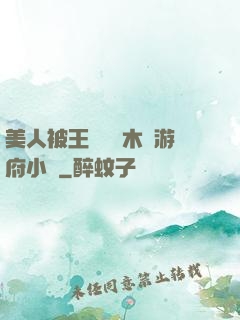 美人被王爺罰騎木驢游府小說