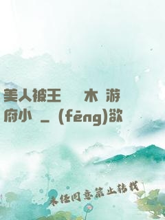 美人被王爺罰騎木驢游府小說