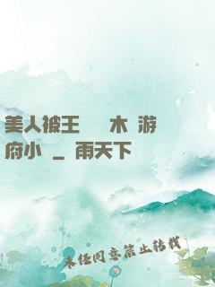 美人被王爺罰騎木驢游府小說