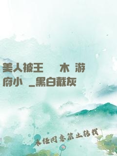 美人被王爺罰騎木驢游府小說