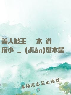 美人被王爺罰騎木驢游府小說