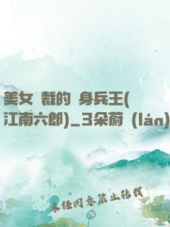 美女總裁的貼身兵王(江南六郎)