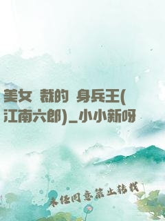 美女總裁的貼身兵王(江南六郎)