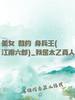 美女總裁的貼身兵王(江南六郎)