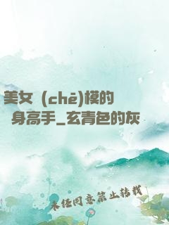 美女車(chē)模的貼身高手