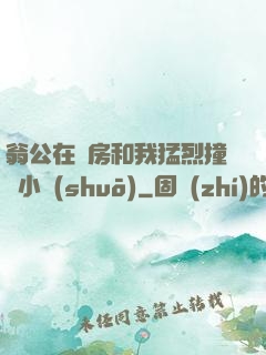 翁公在廚房和我猛烈撞擊小說(shuō)