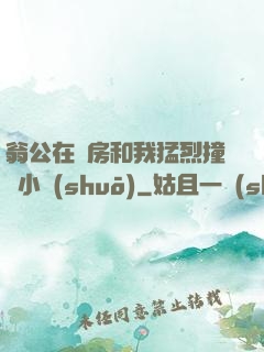 翁公在廚房和我猛烈撞擊小說(shuō)