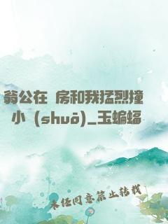 翁公在廚房和我猛烈撞擊小說(shuō)