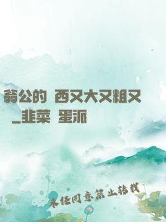 翁公的東西又大又粗又長