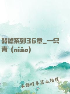翁熄系列36章