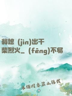 翁熄進(jìn)出干柴烈火