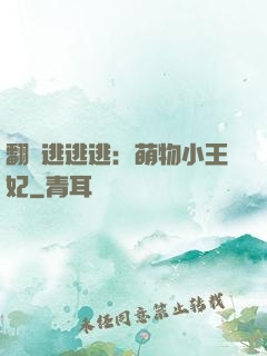 翻墻逃逃逃：萌物小王妃