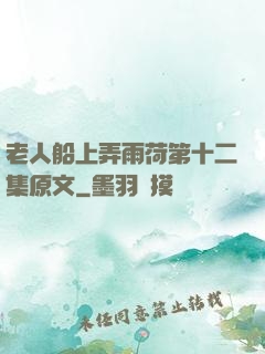 老人船上弄雨荷第十二集原文