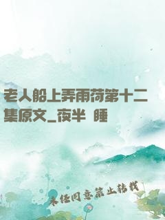老人船上弄雨荷第十二集原文