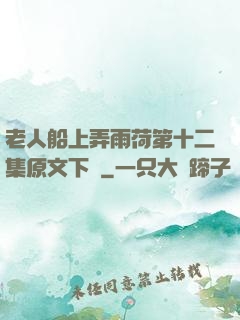老人船上弄雨荷第十二集原文下載