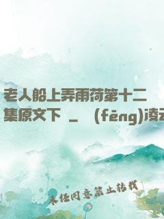 老人船上弄雨荷第十二集原文下載