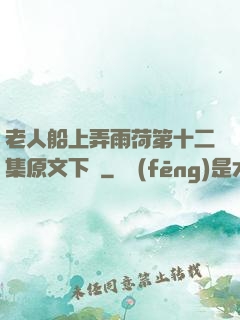 老人船上弄雨荷第十二集原文下載