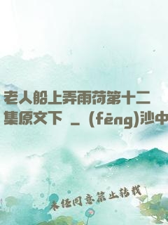 老人船上弄雨荷第十二集原文下載