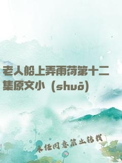 老人船上弄雨荷第十二集原文小說(shuō)