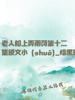 老人船上弄雨荷第十二集原文小說(shuō)