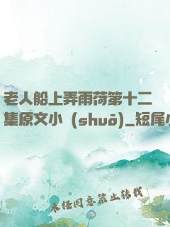 老人船上弄雨荷第十二集原文小說(shuō)
