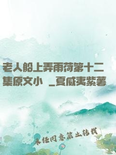 老人船上弄雨荷第十二集原文小說