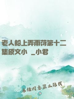 老人船上弄雨荷第十二集原文小說