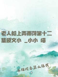 老人船上弄雨荷第十二集原文小說