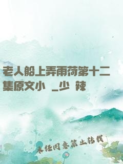 老人船上弄雨荷第十二集原文小說