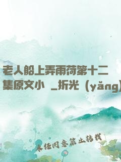 老人船上弄雨荷第十二集原文小說