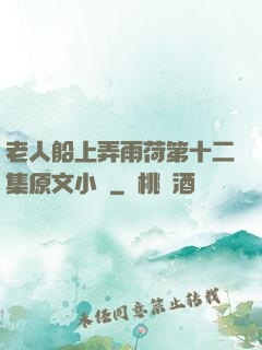 老人船上弄雨荷第十二集原文小說