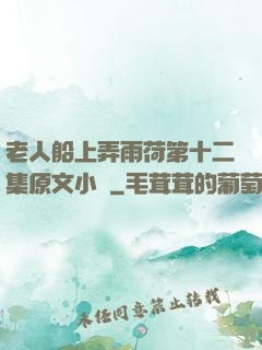 老人船上弄雨荷第十二集原文小說