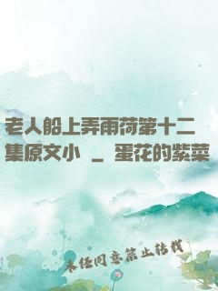 老人船上弄雨荷第十二集原文小說