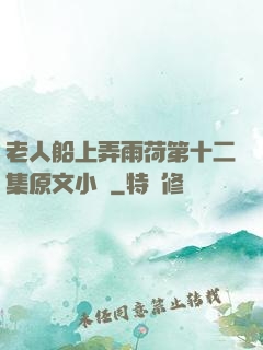 老人船上弄雨荷第十二集原文小說