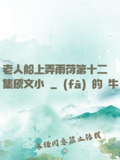 老人船上弄雨荷第十二集原文小說