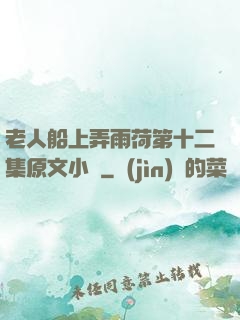 老人船上弄雨荷第十二集原文小說