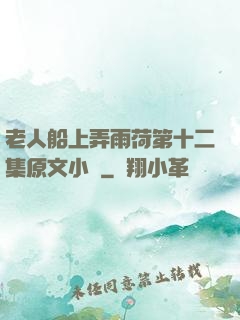 老人船上弄雨荷第十二集原文小說