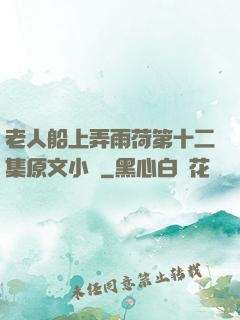 老人船上弄雨荷第十二集原文小說