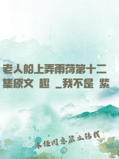 老人船上弄雨荷第十二集原文筆趣閣