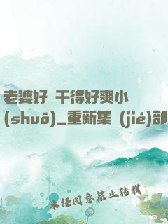 老婆好騷干得好爽小說(shuō)