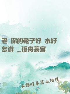老師你的兔子好軟水好多游戲