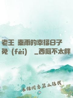 老王與秦雨的幸福日子免費(fèi)閱讀