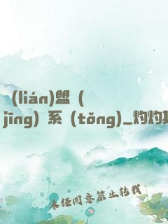 聯(lián)盟經(jīng)營系統(tǒng)