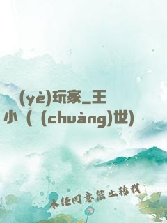 職業(yè)玩家