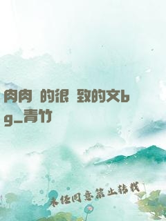 肉肉寫的很細致的文bg