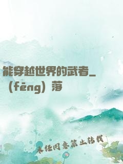 能穿越世界的武者