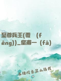 至尊兵王(零點風(fēng))
