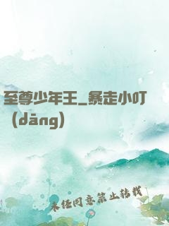 至尊少年王