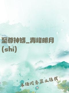 至尊神婿