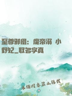 至尊邪凰：魔帝溺寵小野妃